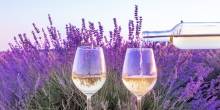 Capturing the essence of Aix-en-Provence's famous lavender fields in bloom